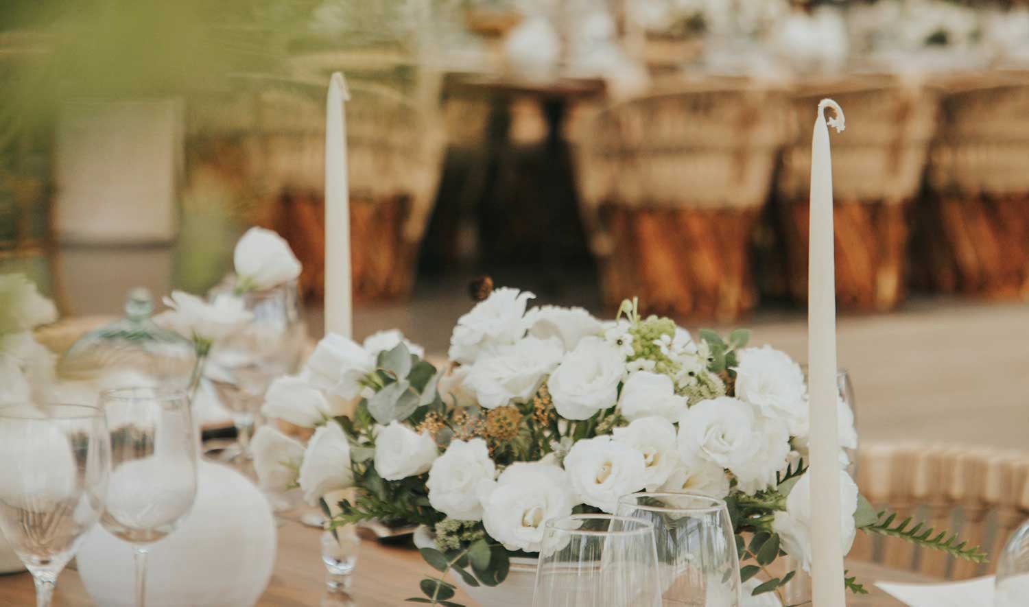 andrea-garibay-7n367ZUiHL0-unsplash