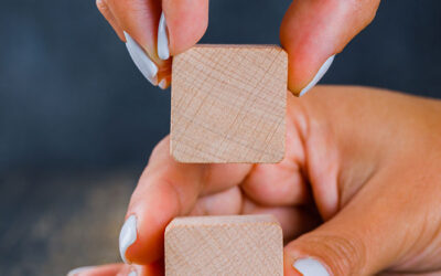 Magazine Hiver 2016 de David Bascunana – Photographes