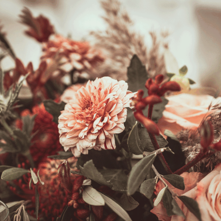 jan-kopriva-Yc-W6KbAkzc-unsplash