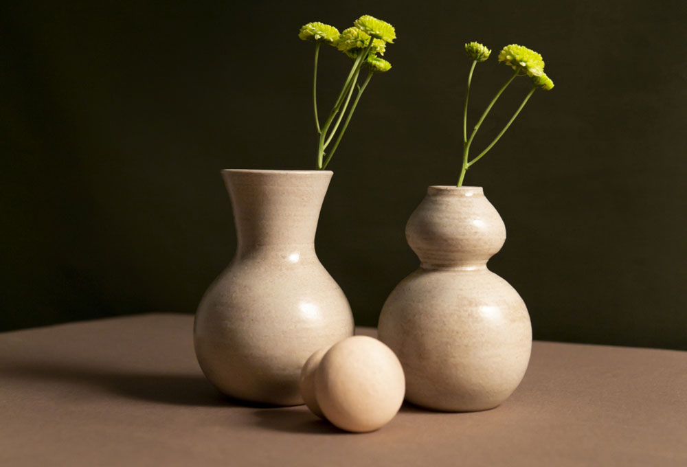 nature-morte-aux-plantes-deco