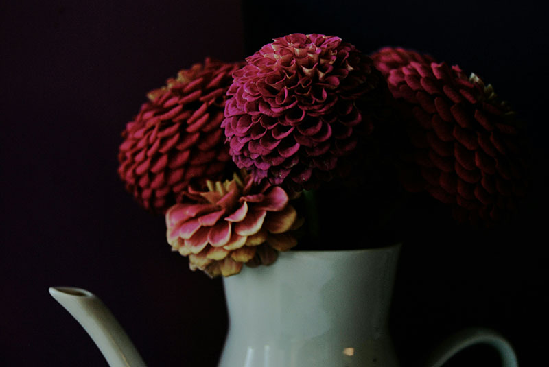 yanina-engvik-wF6Mf2ubgD8-unsplash