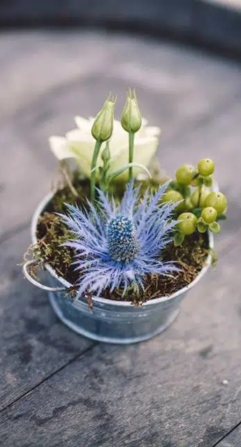 temps-de-reve-boheme-chardon