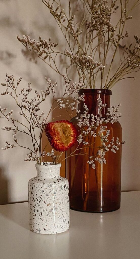 tiago-wolf-lhO9WgObmNY-unsplash